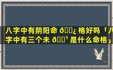 八字中有阴阳命 🌿 格好吗「八字中有三个未 🌹 是什么命格」